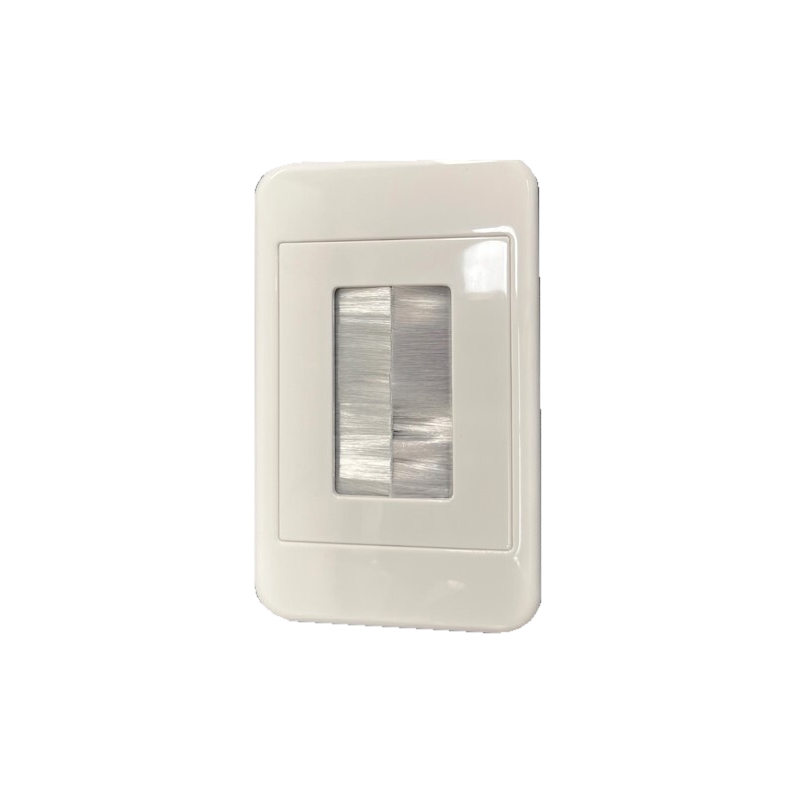BRUSH FLUSH PLATE