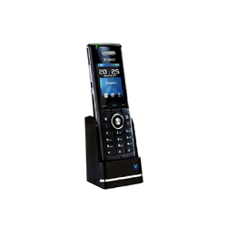 IQ8630  Handset & Charger