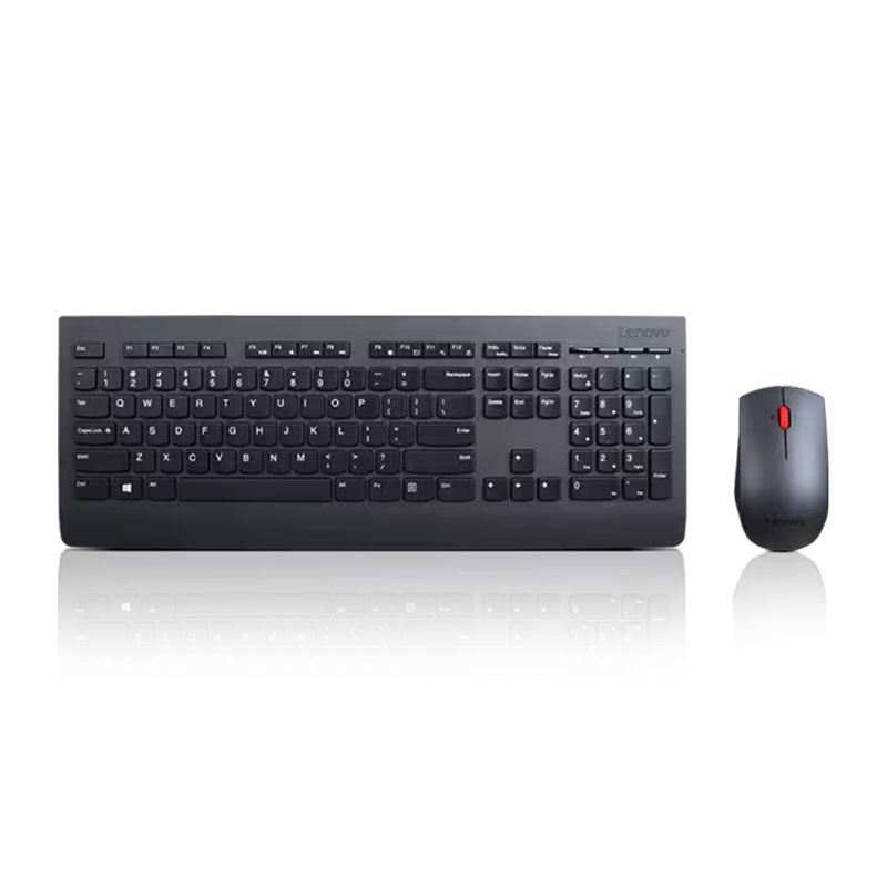 LENOVO PROFESSIONAL WIRELESS KEYBOARD AND MOUSE COMBO - US ENGLISH
